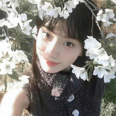 楚留香传奇海报